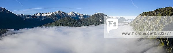 Aus dem Hochnebel aufsteigende Berge über dem Sylvensteinsee  bei Lenggries  Isarwinkel  Luftbild  Oberbayern  Bayern  Deutschland  Europa
