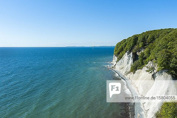 Blick vom Hochufer auf die Ostsee  die Kreidefelsen und den Rotbuchenwald (Fagus sylvatica)  Nationalpark Jasmund  Rügen  Mecklenburg-Vorpommern  Deutschland  Europa