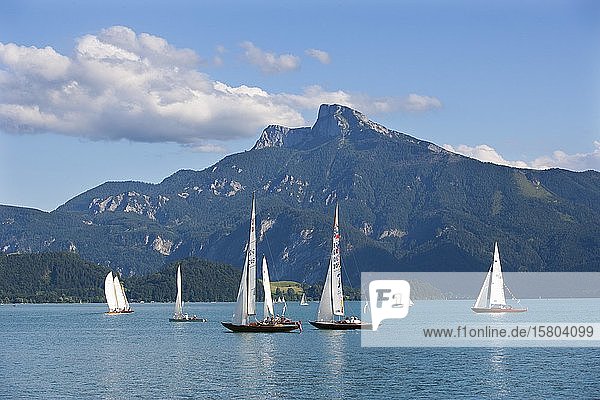 Sailboats with Schafberg Mondsee Salzkammergut Upper Austria Austria Europe