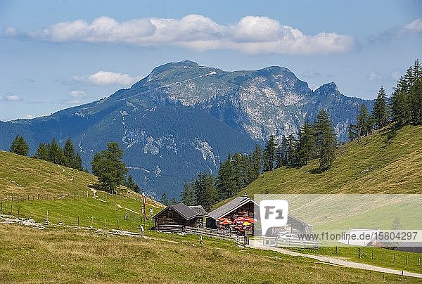Alpine Landschaft  Erlbachhütte mit Schafberg  Postalm  Salzkammergut  Bundesland Salzburg  Österreich  Europa