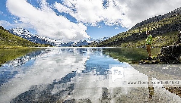 Wanderer am Bachalpsee  Spiegelung im See  Schreckhorn- und Finsteraarhorngipfel  Grindelwald  Berner Oberland  Schweiz  Europa