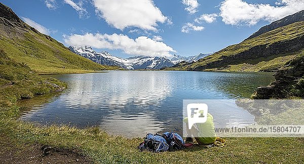 Hiker with backpack at Bachalpsee  summits Schreckhorn and Finsteraarhorn  Grindelwald  Bernese Oberland  Switzerland  Europe