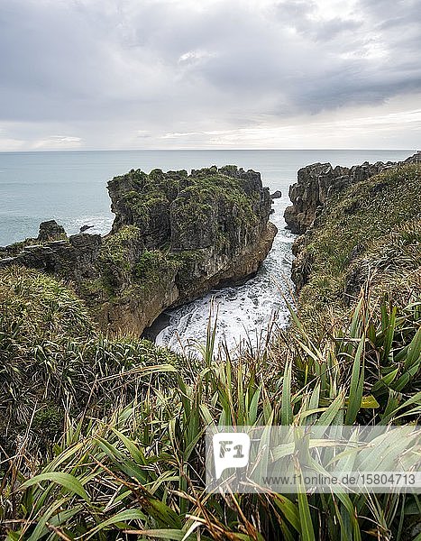 Bay with sandstone rocks  rock formation Pancake Rocks  Paparoa National Park  Punakaiki  West Coast  South Island  New Zealand  Oceania