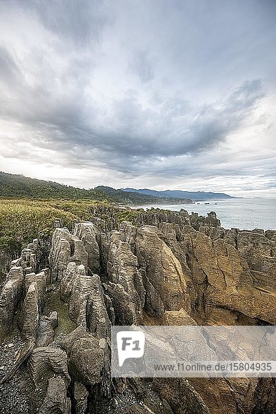 Coastal landscape of sandstone rocks  Pancake Rocks  Paparoa National Park  Punakaiki  West Coast  South Island  New Zealand  Oceania