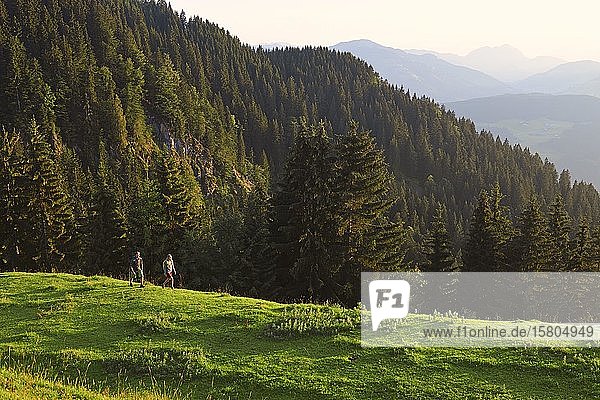 Wanderer auf der Kraftalm  Hohe Salve  Itter  Kitzbüheler Alpen  Tirol  Österreich  Europa