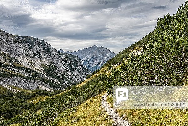 Wanderweg mit Blick auf Vogelkarspitze und Hintere Schlichtenkarspitze  Abstieg von der Birkkarspitze  Vomperkette  Karwendel  Tirol  Österreich  Europa