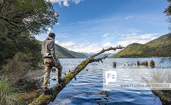 Junger Mann steht auf einem moosbewachsenen Baumstamm  Lake Rotoroa umgeben von Bergen  Nelson Lakes National Park  Tasman Region  Südinsel  Neuseeland  Ozeanien