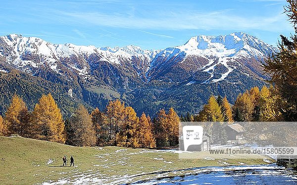 Wanderer  Herbststimmung im Virgental  Zedlach  Matrei  Osttirol  Österreich  Europa