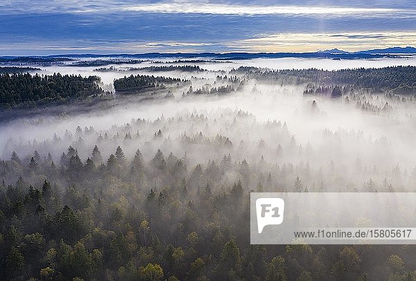Nebelschwaden über Waldlandschaft bei Geretsried  Drohnenaufnahme  Oberbayern  Bayern  Deutschland  Europa