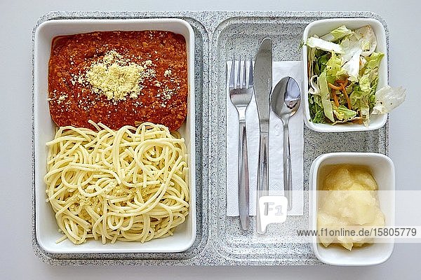Fertiggericht  mangelhaftes Mittagessen im Krankenhaus  Spaghetti mit Bolognesesoße  Parmesankäse  gemischter Salat  Apfelkompott  Deutschland  Europa