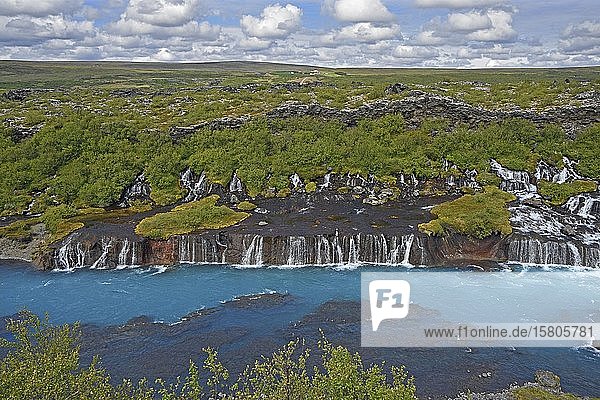 Hraunfossar Wasserfälle mit Fluss Hvítá  Island  Europa