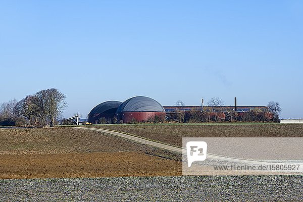 Bauernhof mit Biogasanlage  Baden-Württemberg  Deutschland  Europa