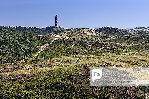 Lighthouse Amrum  Amrum Island  North Sea  North Frisian Island  Schleswig-Holstein  Germany  Europe