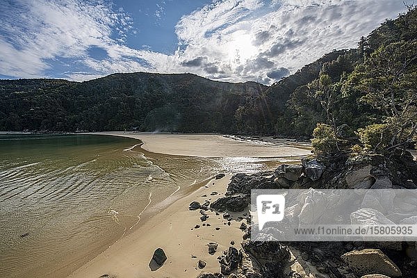 Sandy beach beach of Stillwell Bay  Abel Tasman National Park  Tasman  South Island  New Zealand  Oceania