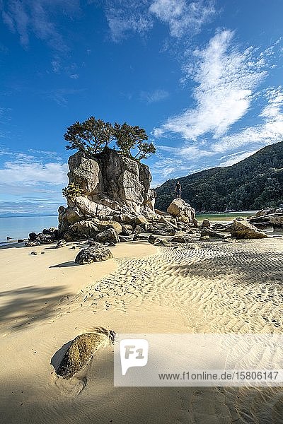 Young man standing on a rock  overgrown rock on the beach of Stillwell Bay  Abel Tasman National Park  Tasman  South Island  New Zealand  Oceania