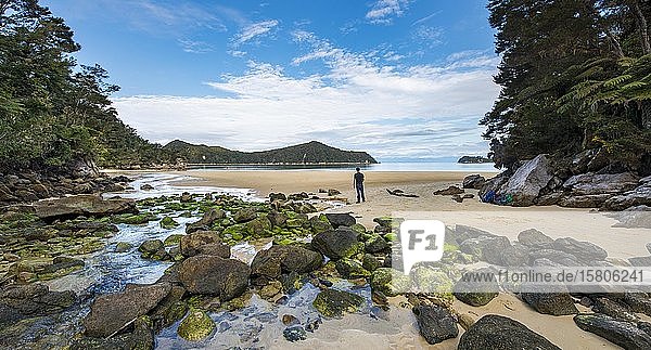 Junger Mann steht am Strand mit moosbewachsenen Felsen  Stillwell Bay  Bach Lesson Creek  Abel Tasman Coastal Track  Abel Tasman National Park  Tasman  Südinsel  Neuseeland  Ozeanien