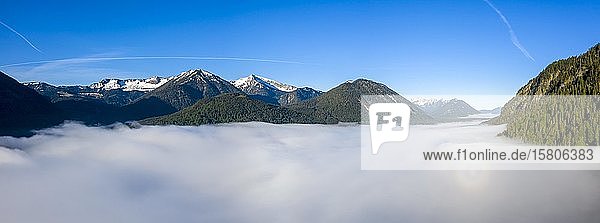 Mountains rising out of high fog over Lake Sylvensteinsee  near Lenggries  Isarwinkel  aerial view  Upper Bavaria  Bavaria  Germany  Europe