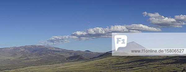 Vulkanische Mondlandschaft  Vulkan Payun im Hintergrund  Reserva La Payunia  Provinz Mendoza  Argentinien  Südamerika