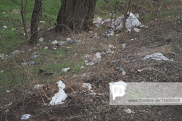 Symbolbild Umweltverschmutzung  Plastikmüll am Straßenrand  Gebiet Cherson  Ukraine  Europa
