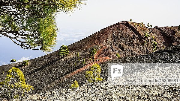 Wanderweg zum Vulkan Martin auf La Palma La Palma Kanaren Spanien Europa