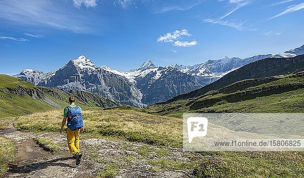 Wanderer  schneebedecktes Fiescherhorn  Wetterhorn und Schreckhorn  Grindelwald  Bern  Schweiz  Europa