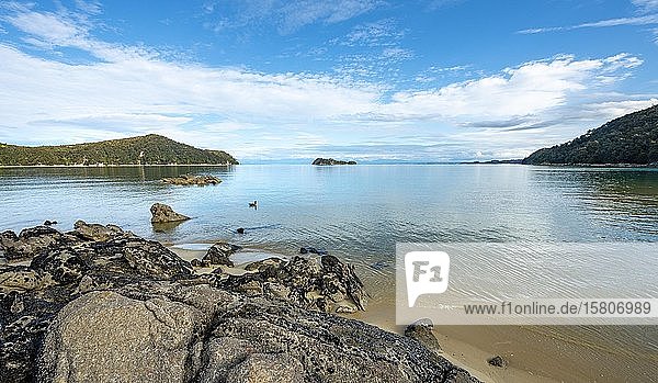 Blick vom Strand der Stillwell Bay auf Adele Island  Abel Tasman National Park  Tasman  Südinsel  Neuseeland  Ozeanien