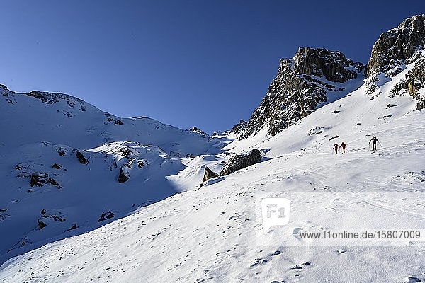 Ski tourers in winter  ascent to the Geierspitze  Wattentaler Lizum  Tuxer Alps  Tyrol  Austria  Europe