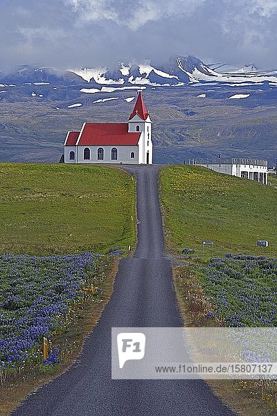Der Weg führt zur Kirche von Ingjaldshóll hinter dem Snaefellsnessjökull  Halbinsel Snaefellsness  Island  Europa