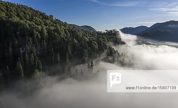 Berghang mit Wald und Nebelwolken  Hochnebel über Sylvensteinsee  bei Lenggries  Isarwinkel  Luftbild  Oberbayern  Bayern  Deutschland  Europa