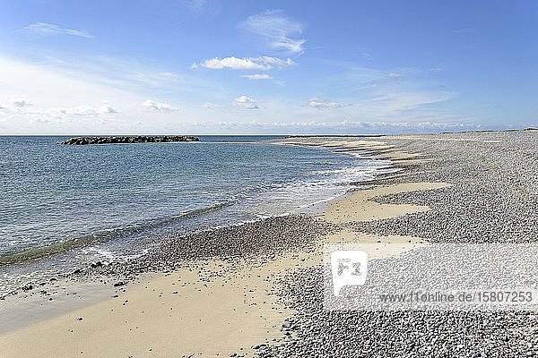 Strand mit Sand und Steinen  Düneninsel  Helgoland  Nordsee  Schleswig-Holstein  Deutschland  Europa