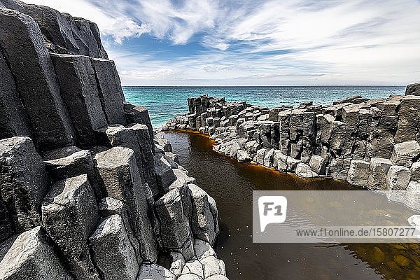 Basaltklippen an der Küste  Basaltsäulen  Blackhead  Dunedin  Otago  Südinsel  Neuseeland  Ozeanien