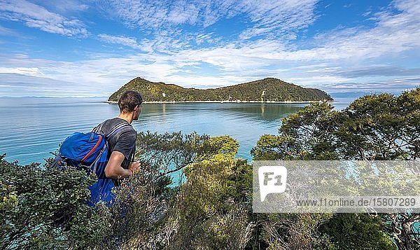 Walker überblickt die Bay Astrolabe Roadstead mit Adele Island  Abel Tasman National Park  Tasman  Südinsel  Neuseeland  Ozeanien