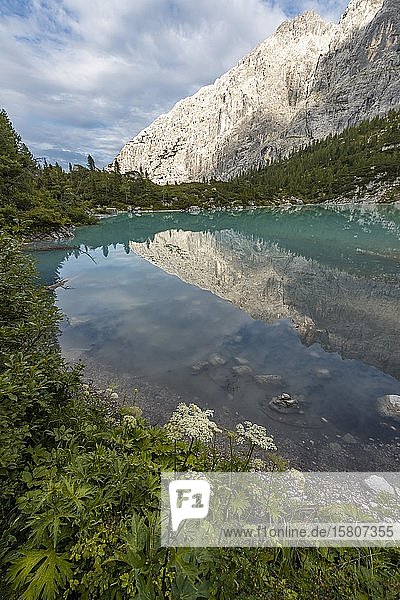 Berg spiegelt sich im türkisgrünen Sorapissee  Lago di Sorapiss  Dolomiten  Belluno  Italien  Europa