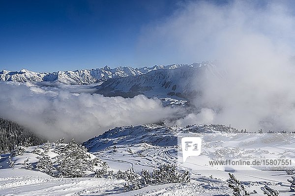 Skiloipen mit Allgäuer Alpen  Ritzlern  Kleinwalsertal  Vorarlberg  Österreich  Europa