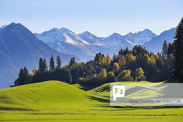Allgäuer Alpen bei Oberstdorf  Blick von Schöllang  Oberallgäu  Allgäu  Schwaben  Bayern  Deutschland  Europa