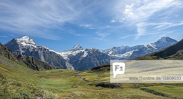 View of snow-covered Fiescherhorn  Wetterhorn and Schreckhorn  Grindelwald  Bern  Switzerland  Europe