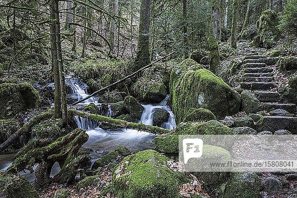 Gertelbach Gertelbach Falls Gertelbach Gorge Bühl Bühlertal Northern Black Forest Black Forest Baden-Württemberg Germany Europe