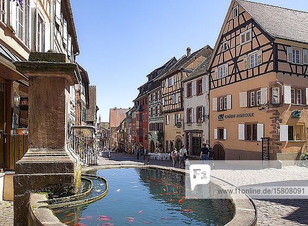 Brunnen mit Goldfisch  Altstadt  Fachwerkhäuser in der Rue de General de Gaule  Riquewihr  Elsass  Frankreich  Europa