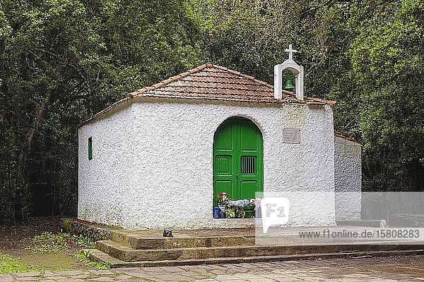 Kapelle Ermita de Lourdes im Wald bei El Cedro  Nationalpark Garajonay  La Gomera  Kanarische Inseln  Spanien  Europa