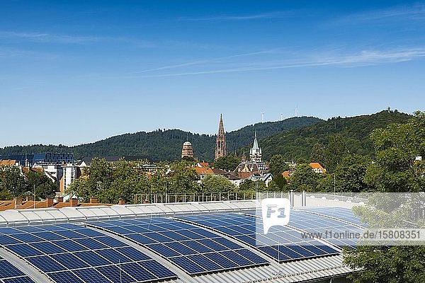 Stadtansicht mit Freiburger Münster und Fotovoltaikanlage  Freiburg im Breisgau  Schwarzwald  Baden-Württemberg  Deutschland  Europa