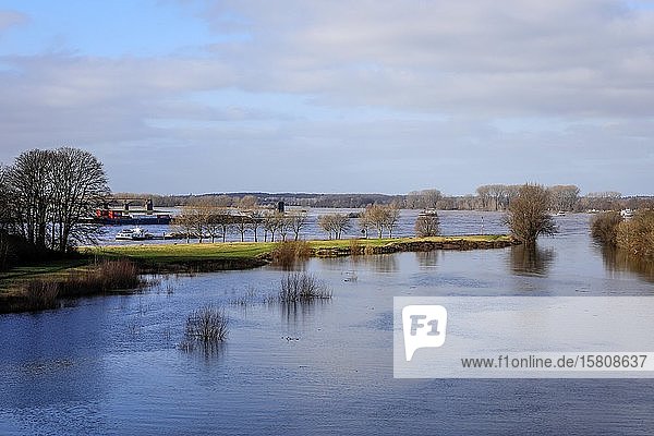 Lippe  Überschwemmung in der renaturierten Aue an der Mündung der Lippe in den Rhein  Wesel  Niederrhein  Nordrhein-Westfalen  Deutschland  Europa