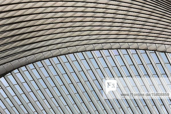 Detail des Daches des Bahnhofs Lüttich  Gare de Liège-Guillemins  entworfen von dem spanischen Architekten Santiago Calatrava  Lüttich  Wallonische Region  Belgien  Europa