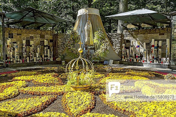 Statue of the Madonna  carpet of flowers with golden crown of the Virgin Mary  grotto of the Virgin Mary in the forest  pilgrimage place Maria Vesperbild  Ziemetshausen  Günzburg  Swabia  Bavaria  Germany  Europe