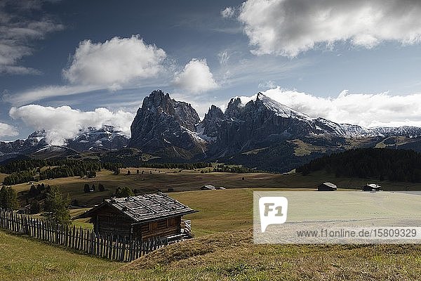 Hut in front of mountain range  Sassolungo and Plattkofel  Alpe di Siusi  South Tyrol  Italy  Europe