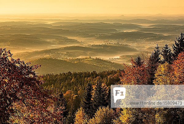 Wald im Herbst mit Morgennebel im Tal  Kulm  Oststeiermark  Steiermark  Österreich  Europa