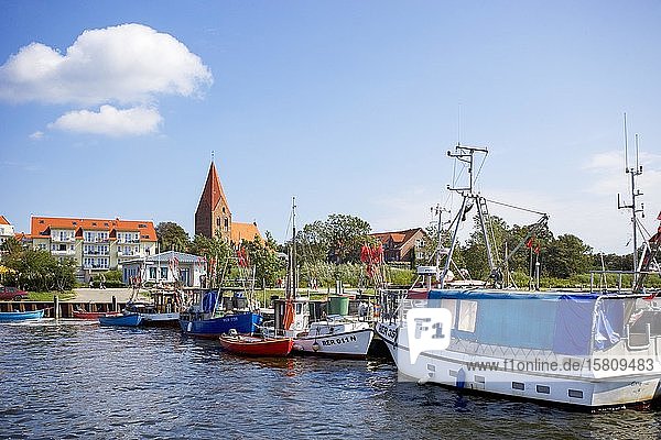 Fischerboote im Fischereihafen  Ostseebad Rerik  Mecklenburg Vorpommern  Deutschland  Europa