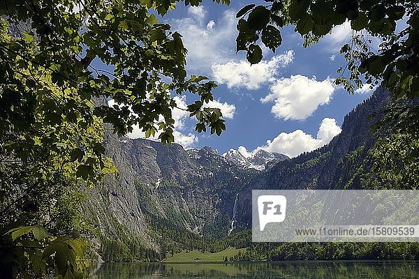 Obersee mit Blick auf die Fischunkelalm und die Röthbachfälle  Nationalpark Berchtesgaden  Bayern  Deutschland  Europa
