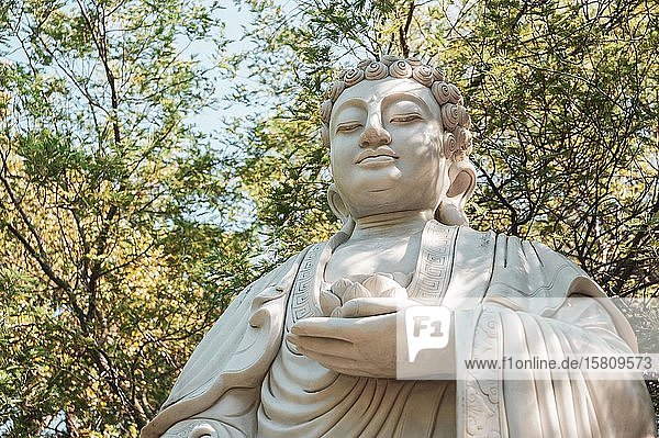 Buddha-Figur im Park der Hong Hien-Pagode  Fréjus  Var  Provence-Alpes-Cote d'Azur  Frankreich  Europa