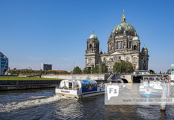 Excursion boat on the Spree  Berlin Cathedral  Berlin  Germany  Europe