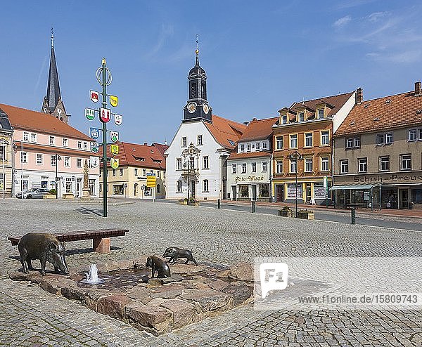 Marktplatz mit Wilde-Sau-Brunnen  Rathaus und Nikolaikirche  Wilsdruff  Sachsen  Deutschland  Europa